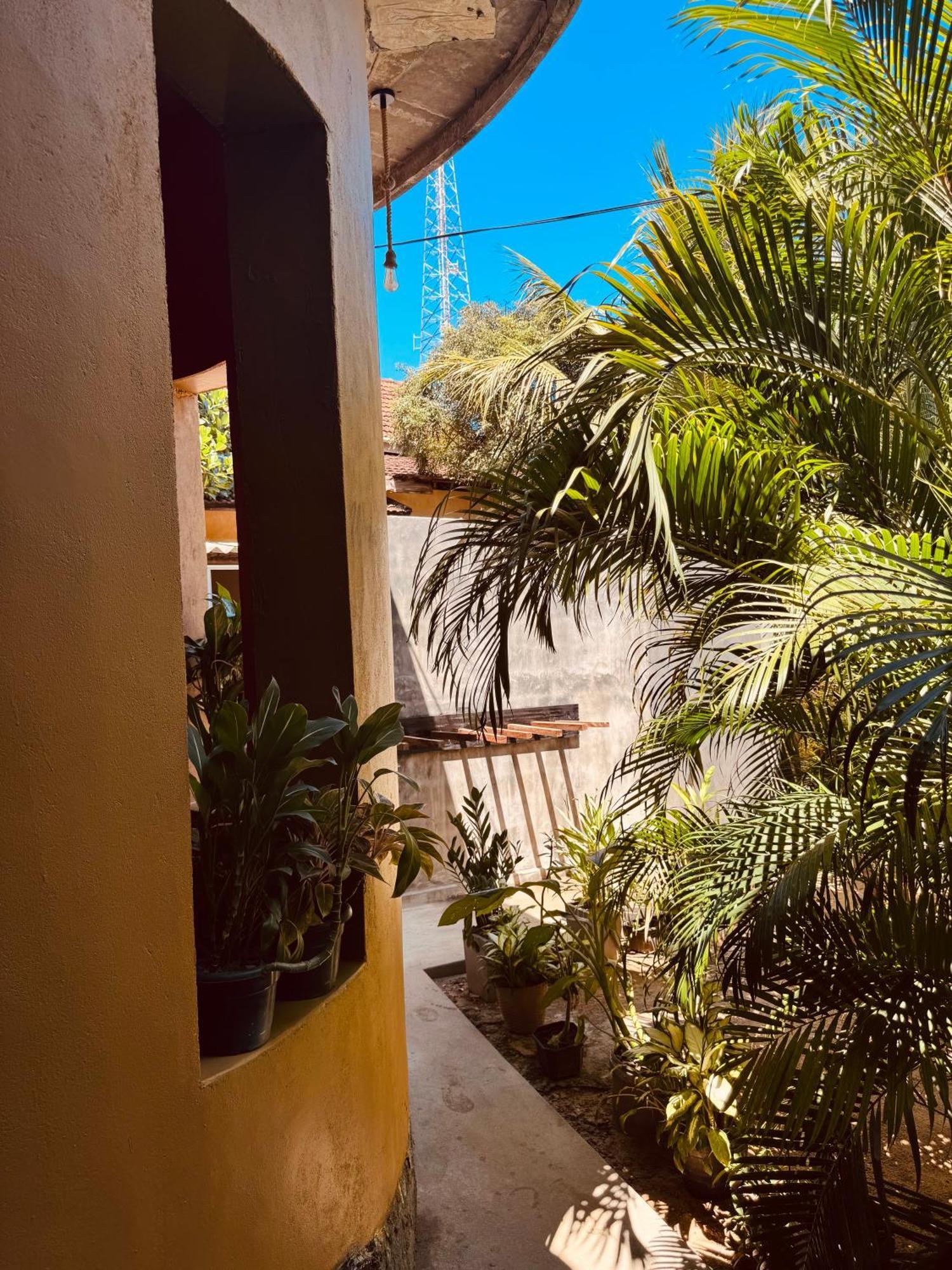 Dreamy Hostel Arugambay Аругам Экстерьер фото